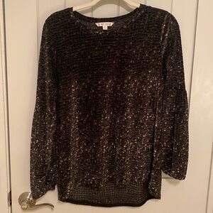 Erin London Velvet Top
